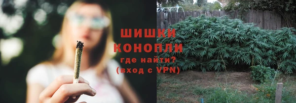 ешки Бородино