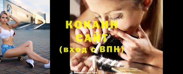 ешки Бородино