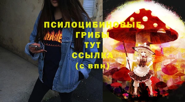 ешки Бородино