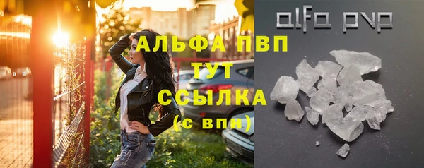 ешки Бородино