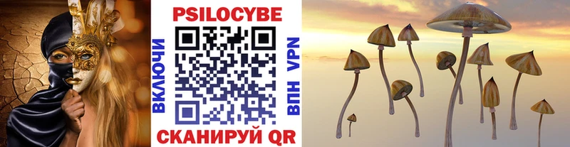 Галлюциногенные грибы Psilocybe  Северская 